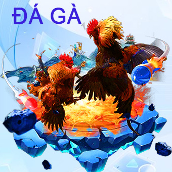 đá gà